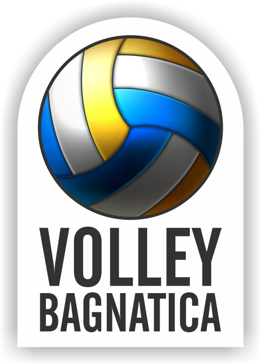 VOLLEY LOGO